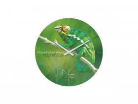 Часы настенные Nicole Time NT503 в Шайдурово - shajdurovo.mebel-nsk.ru | фото